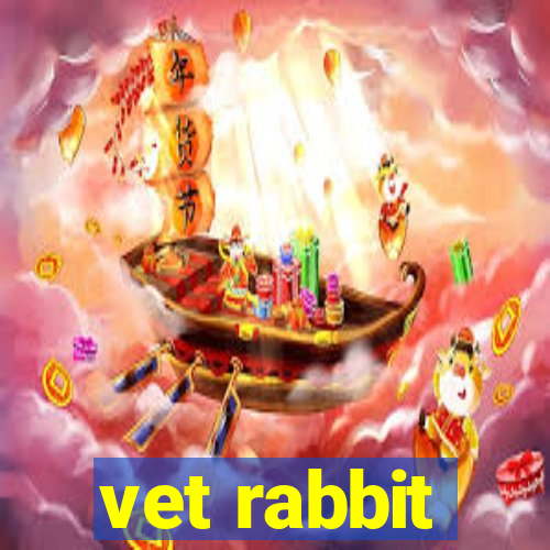 vet rabbit